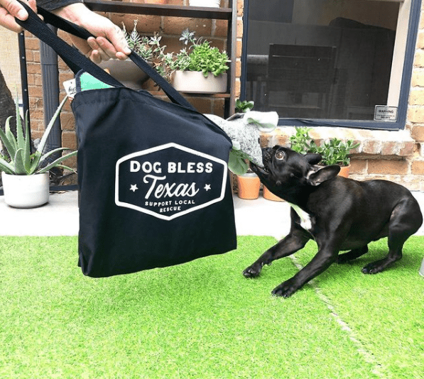 What to Look for in a Custom Tote Bag Supplier